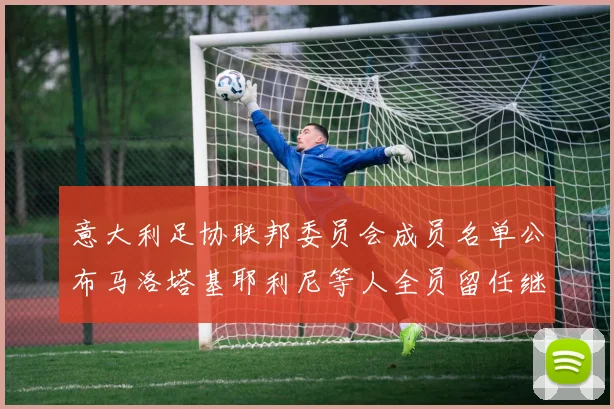 意大利足协联邦委员会成员名单公布马洛塔基耶利尼等人全员留任继续服务