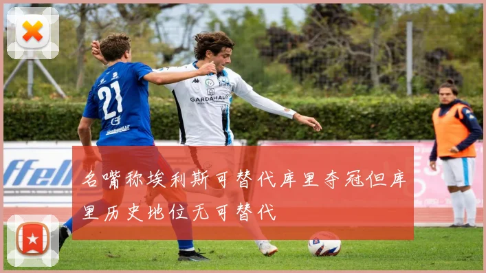 名嘴称埃利斯可替代库里夺冠但库里历史地位无可替代