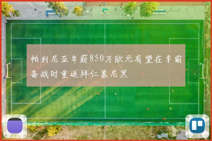 帕利尼亚年薪850万欧元有望在季前备战时重返拜仁慕尼黑